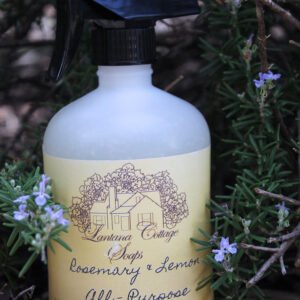 All Purpose Spray Cleaner